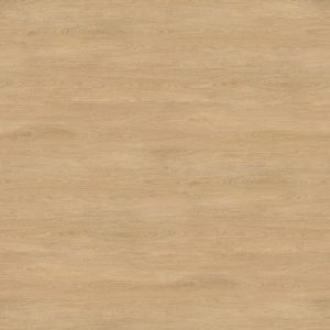 7120 Дуб Карпентер