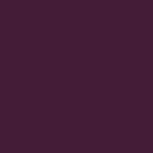 A13 Violett Баклажан