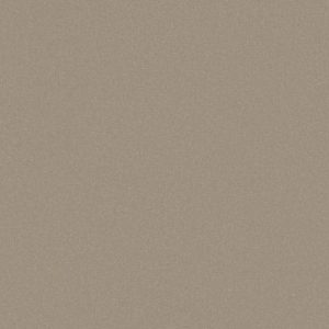 B01 Shampagne metallic Шампань металлик
